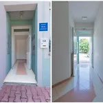 Apartment Riva Medulin